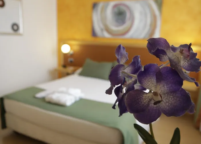 Ibis Styles Vintage